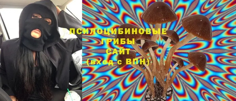 купить наркотик  Кадников  Галлюциногенные грибы Magic Shrooms 